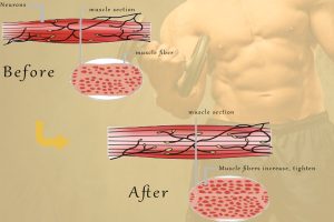 NUBWAY | Why MUSCULPTING machine is becoming more and more popular?