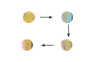 NUBWAY | Does cryolipolysis technology really work?