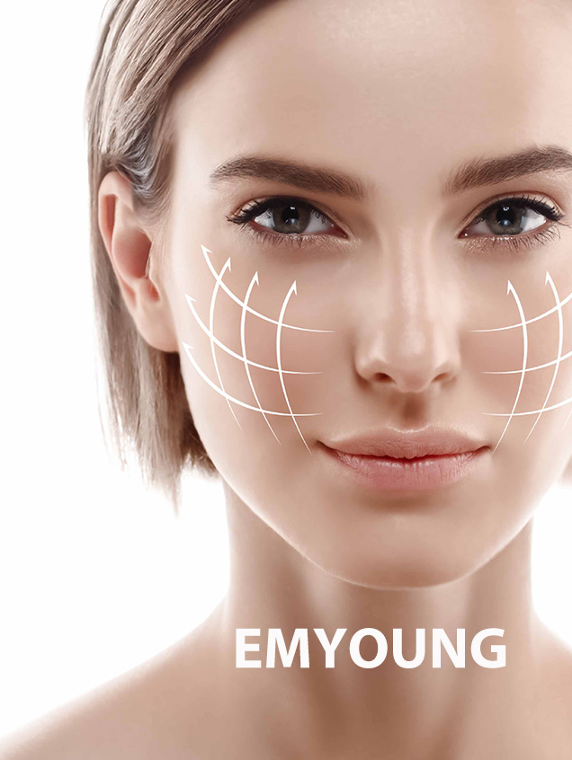 NUBWAY | Ems Rf Face Lift Machine