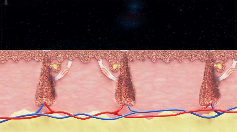 NUBWAY | 808 Painless Permanent Hair Removal: Revolutionizing Your Beauty Experience