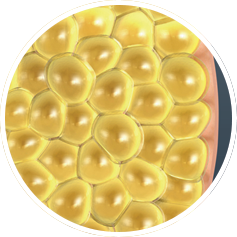 NUBWAY | Fat Freezing Unveiled: Evidence-Based Analysis of Cryolipolysis Effectiveness