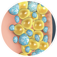 NUBWAY | Fat Freezing Unveiled: Evidence-Based Analysis of Cryolipolysis Effectiveness