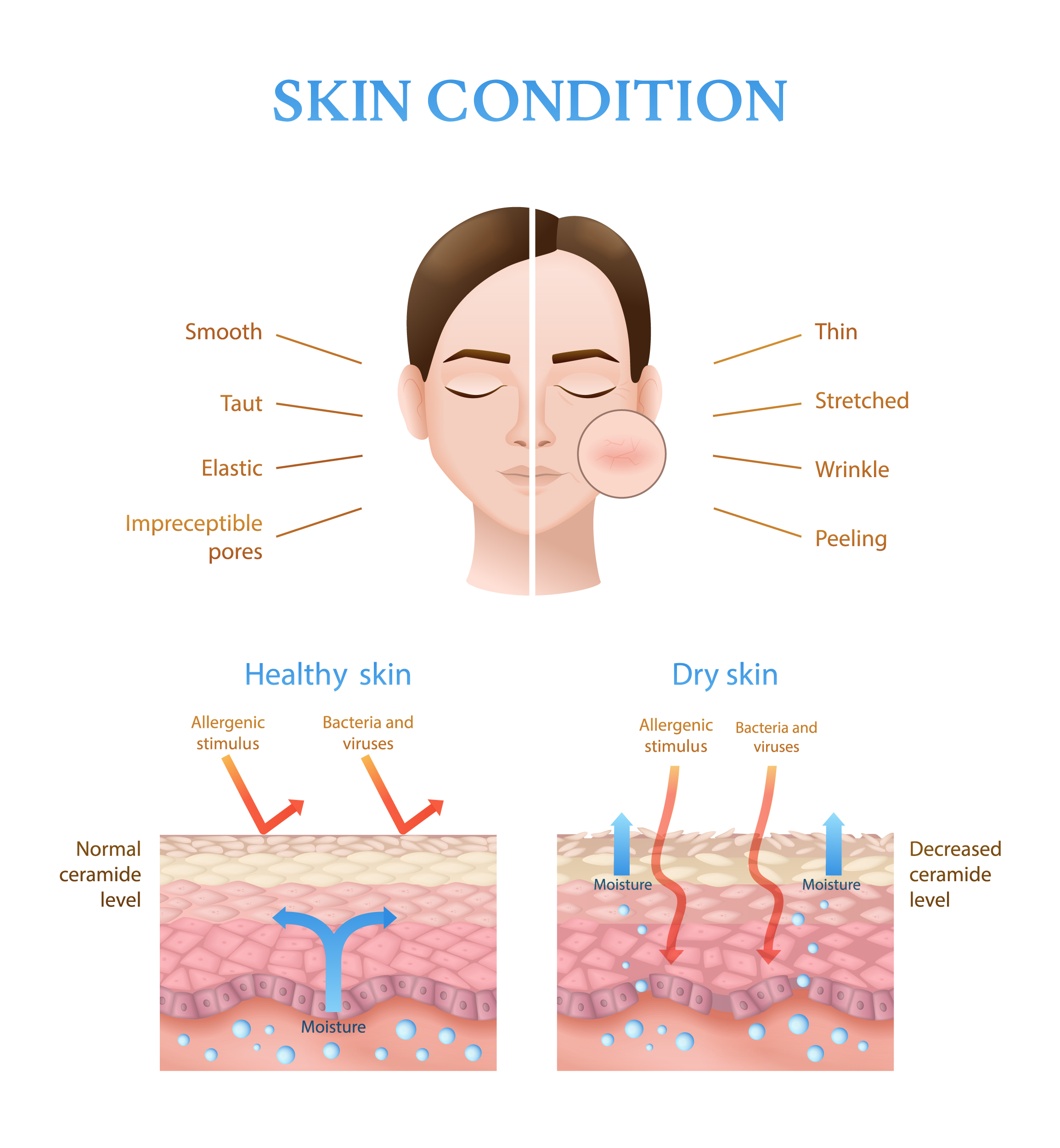 NUBWAY | 2025 IPL Machine Reviews: 7 Dermatologist-Recommended Devices for Lasting Smoothness
