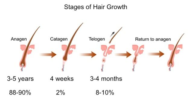 NUBWAY | Diode Laser Hair Removal: How Many Sessions Do You Really Need?